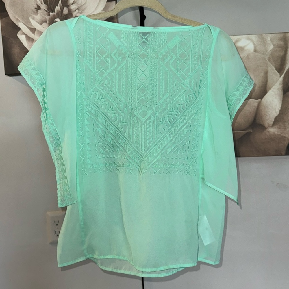 Sheer Embroidered Banana Republic Top XS